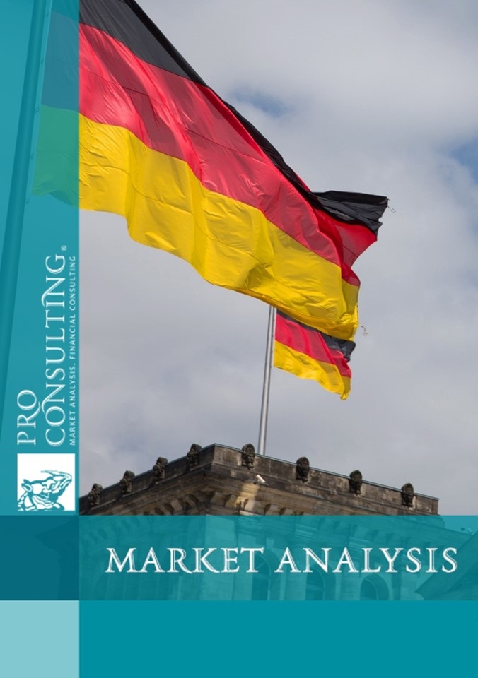 Foreign trade analysis between Ukraine and Germany by the organizational type. 2018